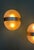 Artemide Clio Wall Sconce by Sergio Mazza for Artemide, Italy, 1963 For Sale - Image 4 of 9
