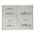 Mid 19th Century Us Pacifc Railroad Fish Lithograph Book Plates - Set of 4 For Sale