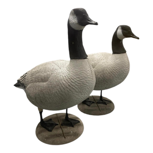 Pair of Vintage-Style Resin Canada Goose Garden Statuary