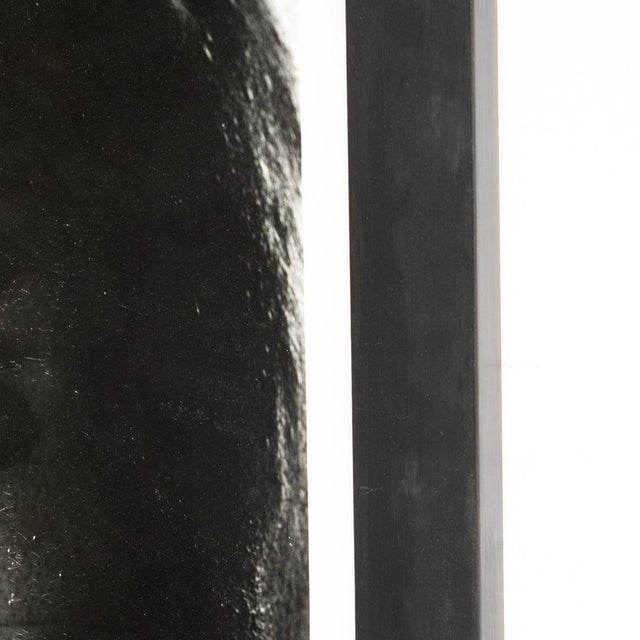 Contemporary Photography by Miquel Arnal, 1990s For Sale - Image 10 of 16