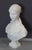 H. F. Iselin, Bust of a Woman, 1873, Carrara Marble For Sale - Image 6 of 17