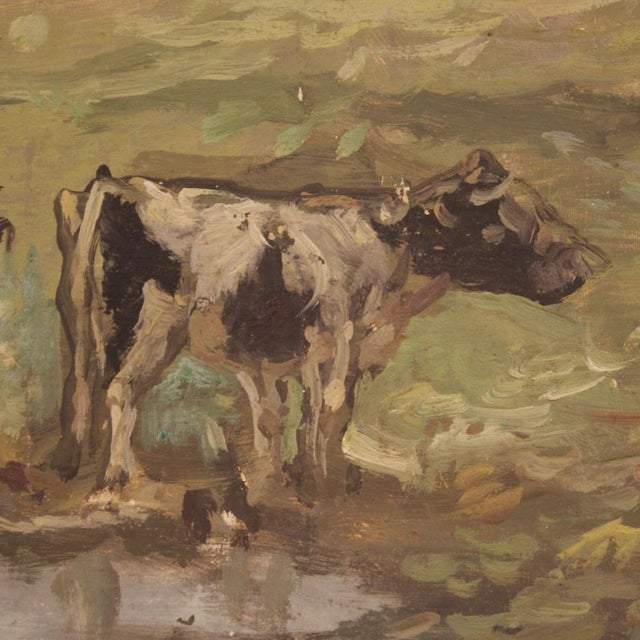 Modern Landscape, Mid-20th Century, Oil on Canvas, Framed For Sale - Image 3 of 16