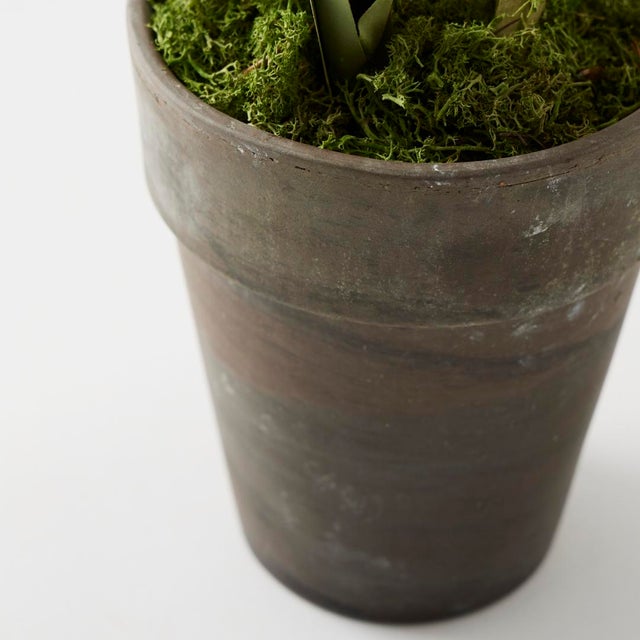 Ceramic Potted Paper Narcissus, Handcrafted in Stockholm For Sale - Image 7 of 7