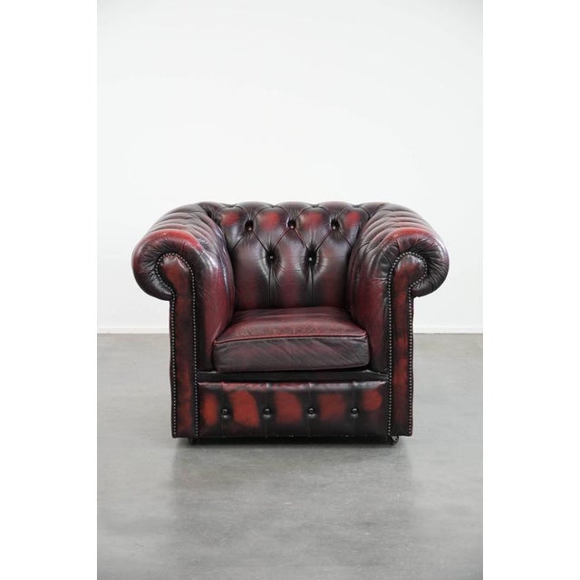 We are offering this timeless and classic cowhide English Chesterfield armchair on casters, finished with decorative...