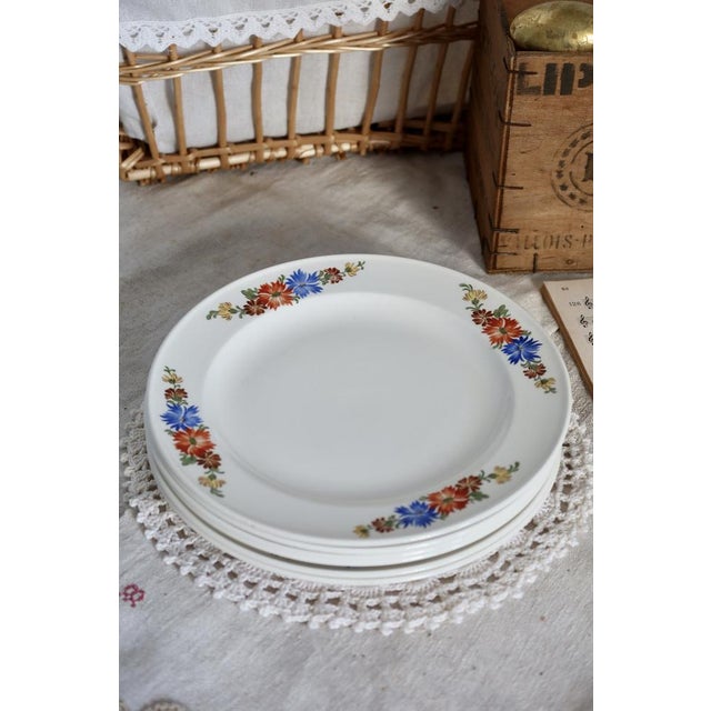 Ceramic Earthenware Dessert Plates with Polychrome Floral Patterns from Royal Sphinx, Maastricht, Belgium, Set of 6 For Sale - Image 7 of 12