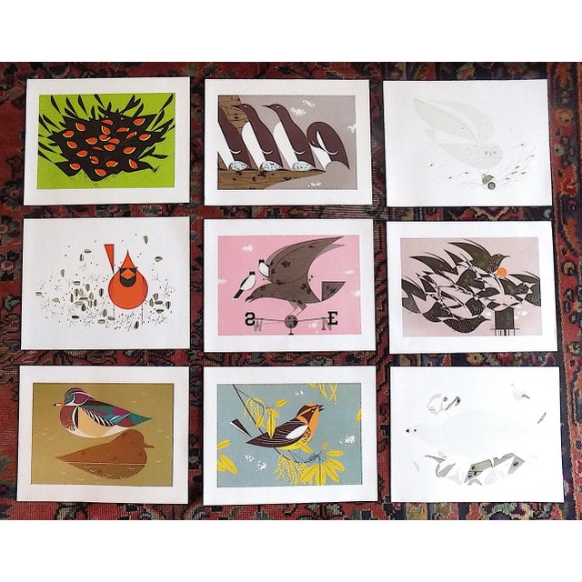 Vintage Charley Harper Modernist Abstracted Bird Lithographs (10.75" X 8.25") - Set of 9 For Sale - Image 10 of 10