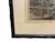 English Natural Curiosities “Date Tree” Tropical Botanical Landscape Framed Print For Sale - Image 3 of 6