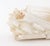 Selenite Crystal Jardiniere For Sale In New York - Image 6 of 11