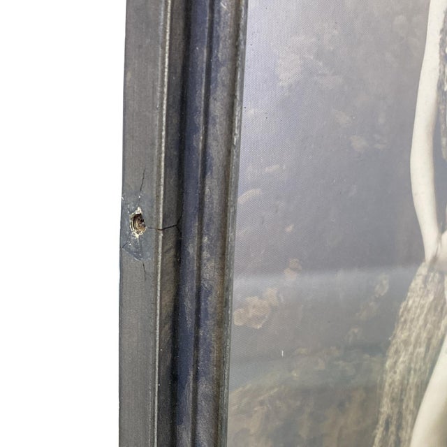 Antique Hula Dancer Sepia Tone Photograph in Ornate Antique-Style Frame For Sale - Image 4 of 6