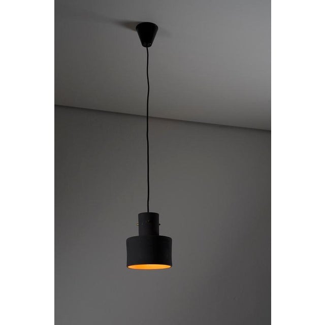 Black Black Terracotta Plant Light Pendant from Artiforte, Netherlands, 1950s For Sale - Image 8 of 10