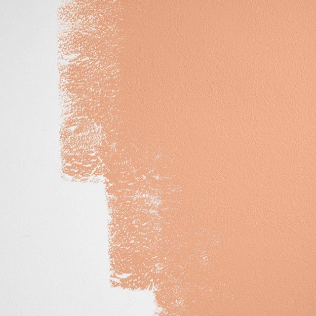 Warm, dark, peachy orange. Backdrop is The New Way to Paint. Backdrop Standard Finish is a premium interior architectural...
