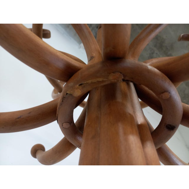 Parrot Coat Rack from Gebrüder Thonet For Sale - Image 16 of 18