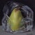Pear Wrapped in Plastic by Kelly Birkenruth | Oil on Panel of a pear in plastic wrap For Sale