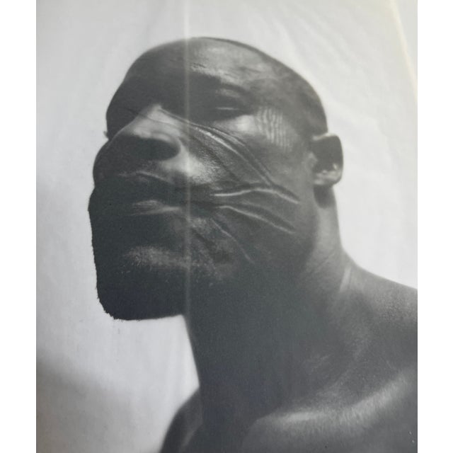 African 2004 Ancient Marks Book For Sale - Image 3 of 12