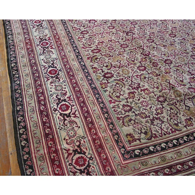 Totally classic, this antique north Indian urban carpet, show a close rendering of the all-over Herati pattern on an ecru...