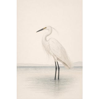 White Egret Coastal Study, Neutral Bird Wall Art Print, 24″ × 36″ Reproduction For Sale