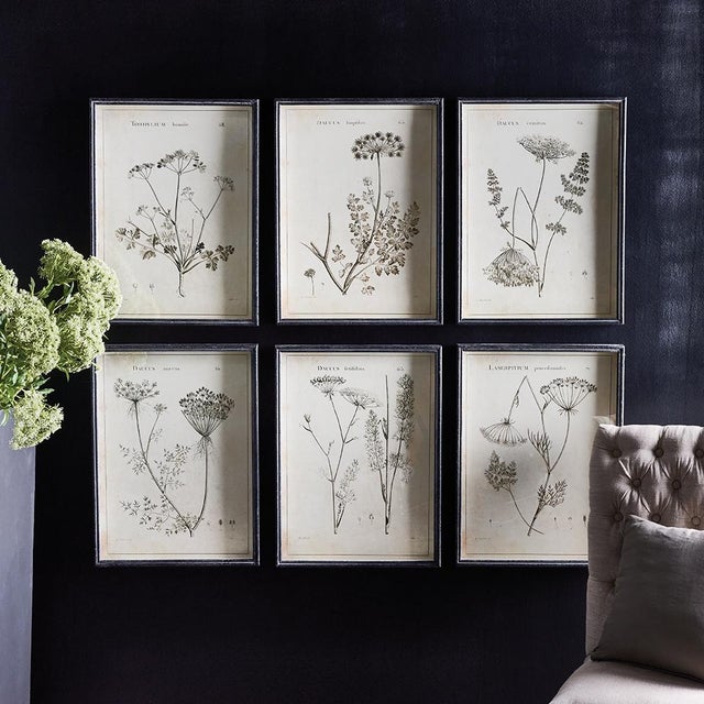 Chinese Wildflower Study, Set Of 6 For Sale - Image 3 of 3