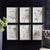 Chinese Wildflower Study, Set Of 6 For Sale - Image 3 of 3
