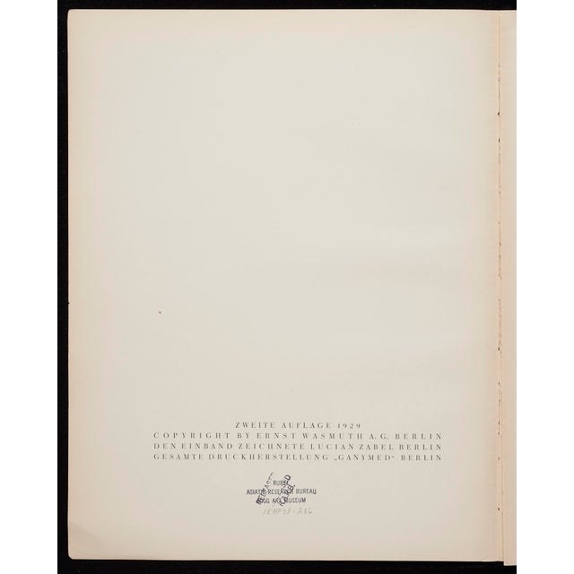 Contemporary Original Karl Blossfeldt Photogravure Botanical Print For Sale - Image 3 of 3