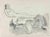Pencil and pastel drawing realized by Mino Maccari, on recto and verso of the sheet, in 1934 ca. Hand signed. Very good...