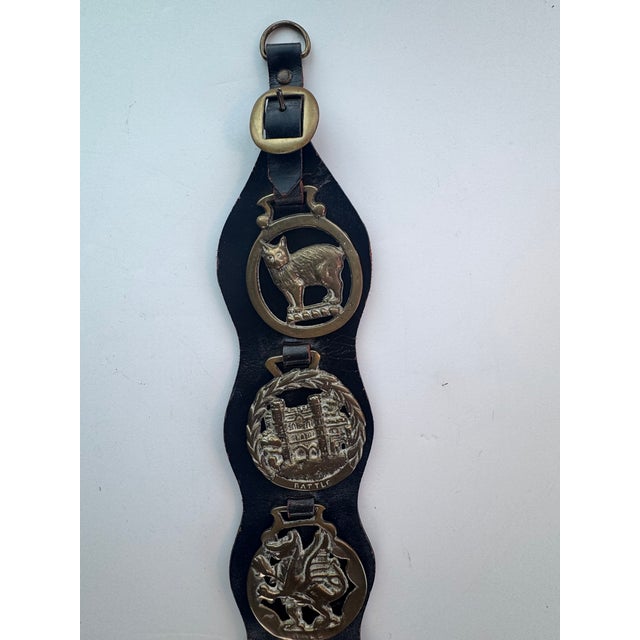 This strap features 6 medallions; Cat, Battle (castle), Griffin, Hunting Horn, Whiskey Barrel & Galleon. This will bring...
