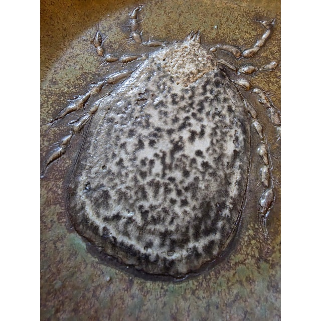 Art Pottery Ceramic Dish With a Tick on It For Sale In San Antonio - Image 6 of 18