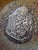 Art Pottery Ceramic Dish With a Tick on It For Sale In San Antonio - Image 6 of 18