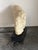 Vintage Peggy Mach Mid-Century Modern Reclining Female Nude Sculpture, Circa 1970 For Sale - Image 9 of 12