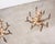 Rh French Baroque Style Carved Wood 8-Arm Chandeliers - Pair For Sale - Image 9 of 18