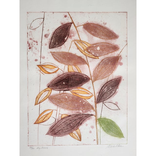 1980s Artist Anne Walker Signed Colored Etching and Aquatint Framed Botanical Wall Art Painting For Sale - Image 10 of 16
