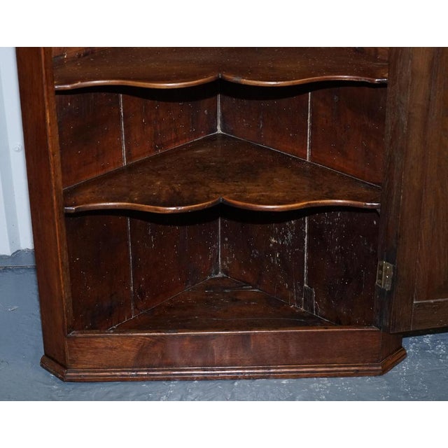 English Oak Hanging Corner Cabinet For Sale - Image 11 of 16