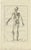 Bartolomeo Eustachi, Anatomy Illustration of the Muscular System, 1798, Print For Sale
