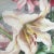 Original Vintage Watercolor Floral Lillies Painting For Sale - Image 4 of 7