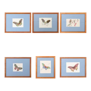 Vintage Set of Six Moth Watercolors