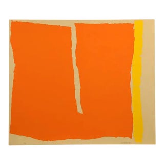 1980 Raymond Parker "Untitled 13" Signed Print For Sale