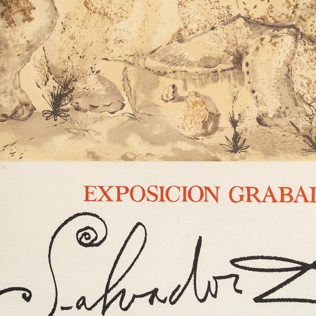 Salvador Dalí­, Hommage À Albrecht Dürer, Original Lithograph, 1970s, Paper For Sale - Image 7 of 12