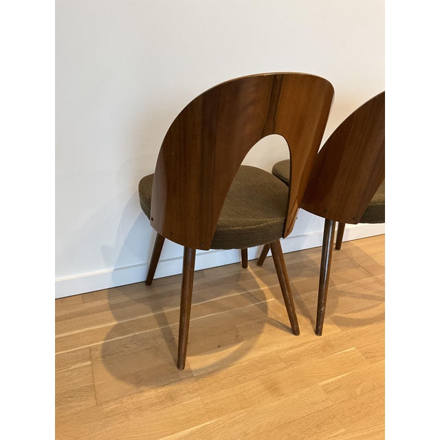 Wood Dining Chairs by Antonín Šuman, 1966, Set of 4 For Sale - Image 7 of 13