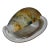 Vintage Decorative Art Glass Conch Shell For Sale