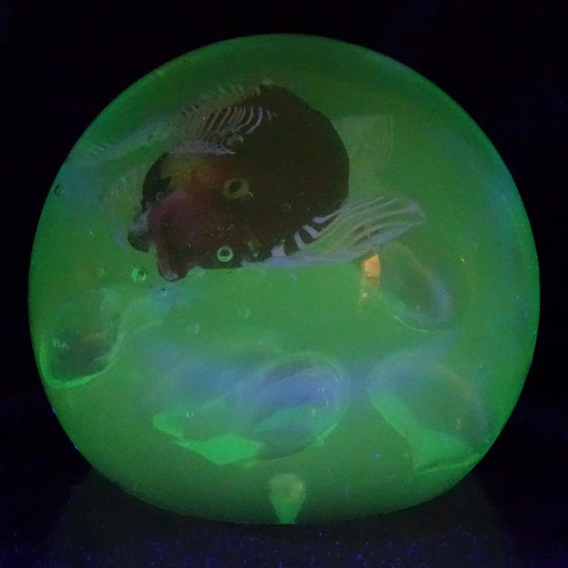 Mid 20th Century Murano Red Purple Gold Leaf Fish Large Bubbles Italian Art Glass Green Uv Reactive Paperweight, Cenedese Barbini For Sale - Image 5 of 9