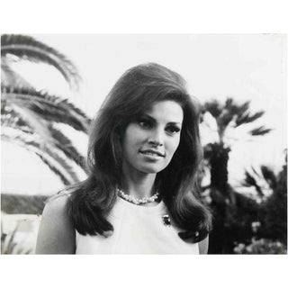 Giancolombo Agency Photographer, Portrait of Raquel Welch, Black and White Image, 1969 For Sale