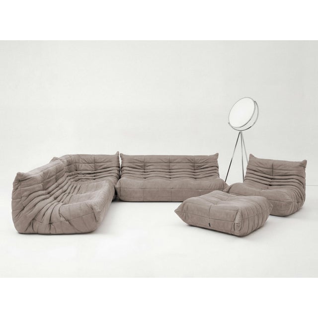 Togo Sofa in Warm Grey Microfiber by Michel Ducaroy for Ligne Roset, Set of 5 For Sale - Image 14 of 14