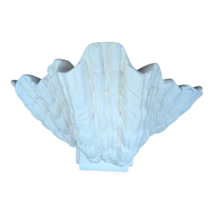 White Plaster Scallop Sconce by Dogfork Lamp Arts