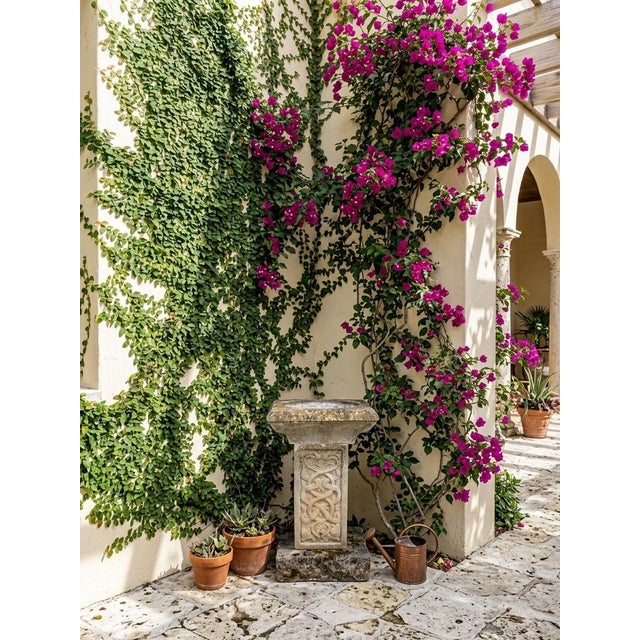 English Regency Style Weathered Cast Stone Birdbath With Celtic Knot Pedestal For Sale - Image 9 of 10