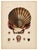 Illustration Scallop Shells | Original Hand-Colored Shell Engraving – Captain Thomas Brown, Plate XXV | C. 1840 For Sale - Image 3 of 3