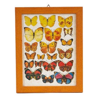 Unknown, Colorful Butterflies, 1970s, Wood For Sale