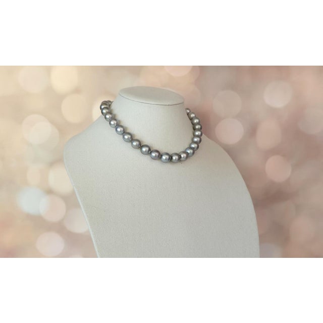 Gray Tahitian Black Pearl Necklace, South Sea Pearls, 14k White Gold Clasp, 17" For Sale - Image 8 of 14