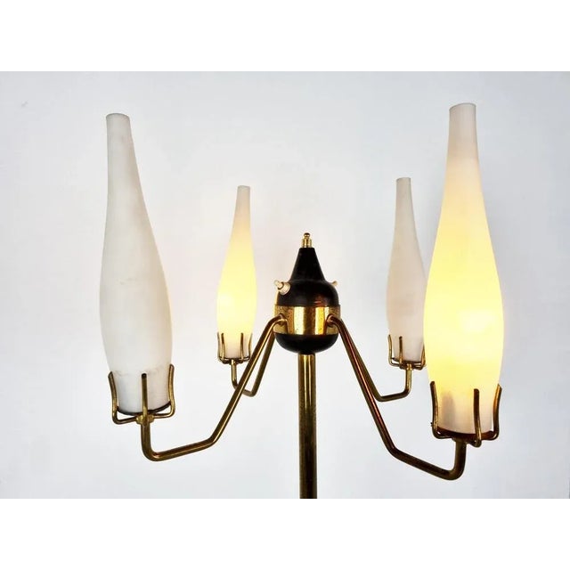 Mid-Century Floor Lamp by Stilux Milano, 1950s For Sale - Image 9 of 10
