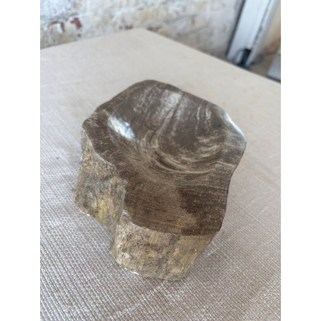 Hand-Carved Petrified Teak Bowl / Organic Rustic Decorative Vessel For Sale - Image 9 of 10