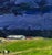 2020s Oil Painting Evening Field Boris Serdyuk For Sale - Image 5 of 10