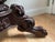 Wood Hand Carved Late 19th C. Continental Rococo Revival Mahogany Flip‑Top Gueridon / Salon Table For Sale - Image 7 of 11